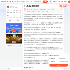 什么是企业资源计划？-CSDN博客